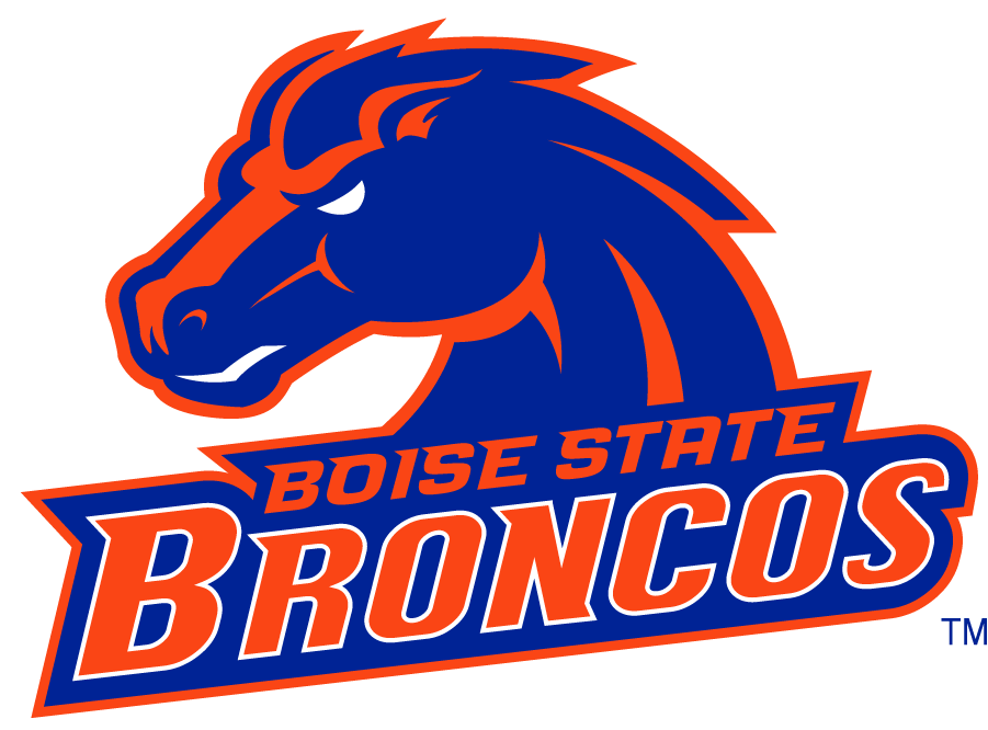 Boise State Broncos 2002-2012 Secondary Logo v26 iron on transfers for T-shirts